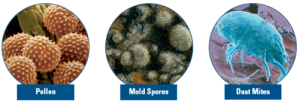 pollen-mold-dust-dots-300x110